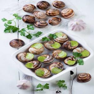 Escargot de raisin - coquillage crustacé nous sommes une entreprise ukrainienne d'élevage et de transformation d'escargots des espèces helix aspersa maxima,  helix aspersa muller et helix pomatia. nous recherchons des clients sérieux et fiables de l'ue.--nous proposons des produits à base d'escargots de raisin. n