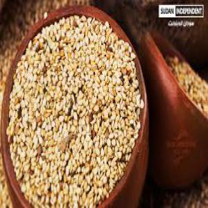 white sesame. - roasted seeds and nuts we sell roasted seeds/ white sesame.--the quantity is 1000 tons,  harvested in our fields in sudan.--the price per tons (fob) is 1350 dollars,  (delivered on the ship)...----the quantity is available immediately.----- $1, 350--- 1000 tonnes