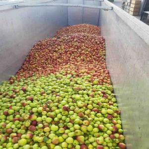 POMMES POUR TRANSFORMATION POUR JUS QUALITE /PRIX - fruits et légumes bonjour, ----nous vendons des pommes destinées à la transformation pour jus  avec un excellent rapport qualité prix --unité de vente  minimum--> 22 tonnes--pour plus d'information--merci de me contacter----