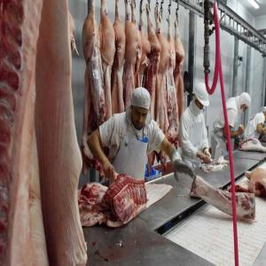 Prestation de Services aux Abattoirs  - emploi représentation prestations de services aux abattoirs - nous fournissons une main d'oeuvre qualifiée et expérimentée dans vos abattoirs ( bovins - porcins - volailles)--abatage - desosseurs - pareurs - emballage - expédition - chauffeurs permis c + cap + tachygraphe à jour.--pays 