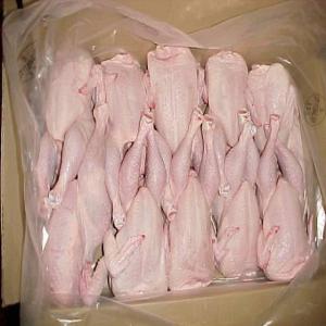 FROZEN WHOLE CHICKEN (+49 163 8512798) - meat and eggs we are specialized in the trade of high quality whole chicken. khune + hertz is your expert in frozen food products of high quality.----brands- chef's quality,  gecko,  countries,  garden fresh,  the english cheese co. bresse and tyson--frozen whole chicken--frozen poultry - chicken--frozen chicken fill