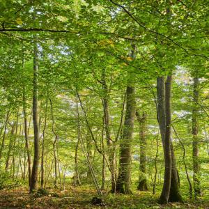 300 hectares de terrain à vendre