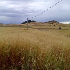 ACHETEUR POUR MON TERRAIN AGRICOLE - autres je vent mon terrain de 1(ha) environ sur la route depuis la ville de m'rirt vers les sources d' oumvrbi3, bdans la region de la  --province de khenifra. le terrain dispose d'un puit et deux potaux d'electrécité sur ces deux bornes ,  et situés a 8km de m'rirt et a 10km des sources