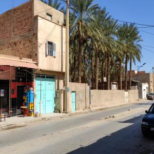 A vendre 70 palmiers Degletnour avec  2 maisons. - fruits et légumes vente d'une belle palmeraie de 70palmiers (avec rendement de 100 kg par palmier) degletnour située à tolga,  il y a également 1 maison de 400 mètres carrés rdc+1. une autre maisonnette de 120 mètres carrés. la maison est à proximité de to