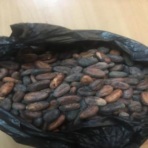 PREMIUM COCOA BEANS FOR SALE - coffee cocoa tea premium cocoa beans for sale in large quantities for immediate sale. payment terms are negotiable. loading port is tema/ takoradi,  ghana. fob price is available. product origin - ghana