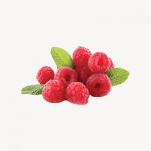 vendeur  de frambois fraises et myrtilles  - fruits et légumes nous sommes une société de fruits et d'exportation basée au nord du maroc. nous fournissons des fruits et légumes dans le monde entier en particulier l'industrie des petits fruits (myrtille framboise fraise...). 