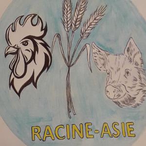 Coopérative agropastorale au Congo-Brazzaville - viandes et oeufs le projet de coopérative agroalimentaire se décline en 3 volets---1- production d'aliments de bétail pour répondre aux besoins croissants des fermes implantées au congo. estimation- 10 tonnes/mois--2- ferme avicole et porcine- production d'œufs de table &agra