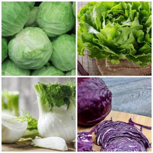 vente des produits agricole - fruits et légumes on dispose des produits agricole vert,  laitue, fenouil, chou vert,  chou violet...--origine- tunisie--quantité- illimité--pour plus d'information contactez nous sur whatsapp ou par e-mail----