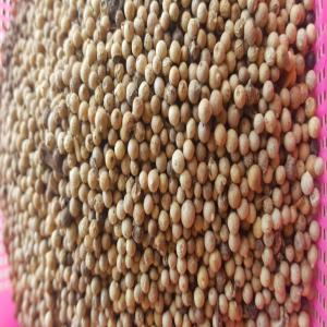 White Pepper Available - roasted seeds and nuts we can actually supply spices,  below is the specification of white pepper we sell--colour- white pepper --density- 500 gl & 580 gl--contact for more details.--