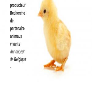 Union discipline travails  - viandes et oeufs bonjour monsieur et madame je suis éleveur professionnel de poules pondeuses et je recherche des partenaires d'investissement dans le domaine des poules pondeuses en côte d'ivoire mais je suis actuellement en angleterre.----hello mr. and mrs. i am a professional breeder of laying hens a