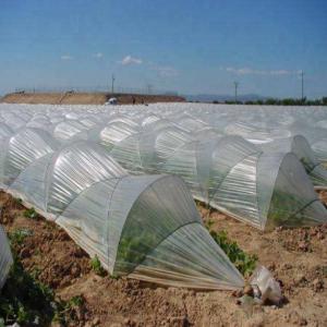 italiens qui veulent recevoir des légumes BIO