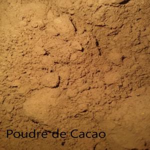 BEURRE ET POUDRE DE CACAO - café cacao thé nous recherchons des clients pour achat de beurre et poudre de cacao 100% bio.--nb- les arnaqueurs et plaisantins s'abstenir!!--- partout dans le monde--- 30% à la commande et 70% avant expédition- origine- côte d'ivoire----- quantite minimum - 10 tonnes