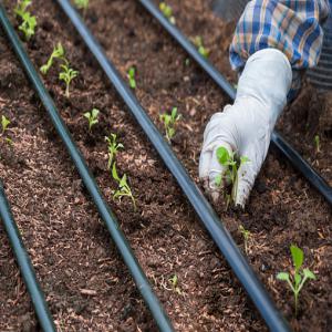 Cabinet d'expertise en irrigation - conseil et formation --groupe d'ingénieurs spécialisés dans la vente et l'installation de systèmes d'irrigation de tous types.--nous intervenons en côte d'ivoire et un peu partout en afrique. 