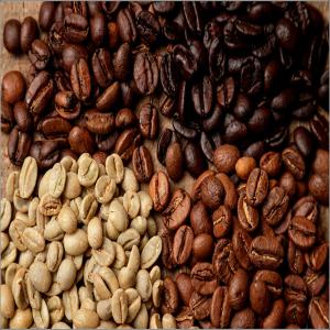 Cafe Brésil - café cacao thé bonjour je suis français est producteur de café au brésil.--nous travaillons avec plusieurs types de café.--le café 100% arabica torréfié avec plusieurs types de torréfaction en fonction du choix du client--possibilité de fournir le caf&