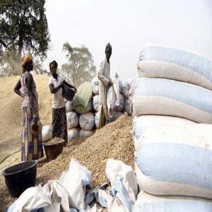 Toute branche  - autres bonjour nous sommes un entrepreneur nous cherchons des partenaires et fournisseurs pour venire investir au sénégal dans toute secteurs de travail. gagnant 