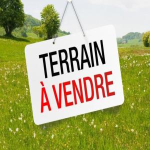 Vente et location de terrains pour agriculture  - mine terrain concession parcelles déjà délimitées en vente et location pour agriculture et élevage à bouaflé et dimbokro (côte d’ivoire).--superficies- 300ha à 3000ha. --toutes nos parcelles disposent d'attestation villageoise,  certificats fonciers,  plan de site