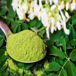 Moringa naturel - épices aromates les feuilles de moringa ont aussi des propriétés antitumorales,  anti-inflammatoires et antibactériennes mais elles auraient également des propriétés neuroprotectrices visant à améliorer le fonctionnement du cerveau,  au niveau de la mémoi