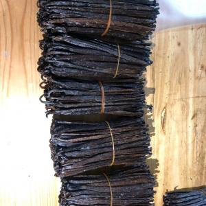 Quality Vanilla Beans Available In Bulk - other would you like to import vanilla beans from madagascar . we provide high-quality vanilla beans from the island country of madagascar at the best price and good quality also per your request for customers who want to start import,  we can supply any quantity,  don't hesitate to contact us for more deta