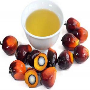 Crude Palm Oil & RBD Palm Oil - olis rbd palm oil cp 10--rbd palm oil cp 8--rbd palm oil cp 6--rbd palm oil is refined from crude palm oil and can be fractionated into two main products,  olein and stearin. owing to its melting range,  rbd palm oil will be solid at ambient temperature in most countries. it can be used for a range of food