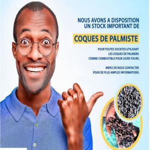 AMANDES DE PALMISTE - fruits secs et graines grillées contactez nous pour tous besoins en coques de palmiste. nous en disposons en grande quantité--produits de qualité pour alimenter vos fours.