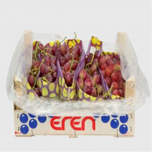 Raisin - fruits et légumes saison de raisin - juin-juillet-août-septembre-octobre-novembre-décembre-janvier / capacité de production - 480 tonnes / semaine en saison