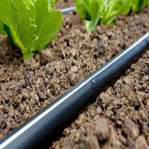 Prestation de services en irrigation - conseil et formation c'est la saison sèche! mais vous pouvez réussir votre culture grâce à l'irrigation. le bureau d'ingénierie agricole vous accompagne dans ---- la vente de matériels d'irrigation;---l'étude et dimensionnement du réseau d'irrigation;---l'installati