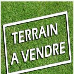 Vente et location de terrains - mine terrain concession nous avons des terrains favorables pour agriculture et élevage.--superficies- jusqu'à 3000ha.--zone- bouaflé,  dimbokro--les terrains sont en vente et en location et sont disponibles avec attestation villageoise,  certificats fonciers,  plan de site et procès verbal.--contac