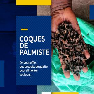 COQUES DE PALMISTE/  PALM HULLS - bois charbon fibre bonjour nous sommes une société ivoirienne. nous possédons une grande quantité de coques et amandes de palmistes en stock pour l'alimentation de vos fours et productions d'huile.--nous cherchons des partenaires pour une collaboration à long terme.--contactez nous p