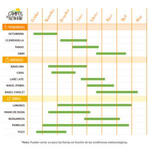 oranges - fruits et légumes somos una empresa familiar ,  con una produccion propia de 1.000.000 de kg aprox de naranjas y mandarinas.--tenemos un pequeno almacen ,  con calibrador y cepillado en seco de la fruta ,  sin ceras ni fungicidas .