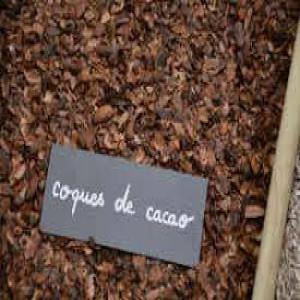 vente de coque de cacao  - fruits secs et graines grillées nous exportons des coques de cacao et divers --pour tout information nous vous demandons de nous contacter sur cet espace et sur mon contact 