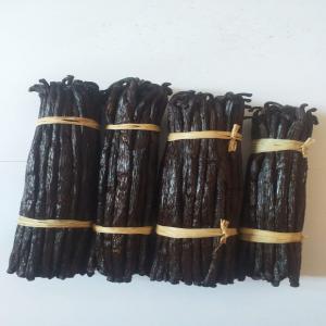 Vanilla Exportation / Exportation Vanille - aromatic spices hello, --i sell  bourbon  vanilla from madagascar.----quality available- grade a (or gourmet) and tk.----13 - 14 - 15 - 16 cm +----quantity- ton possible----do not hesitate to contact me----good for you