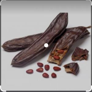 Carob seeds  - seed plant seed we sell a big carob seeds quantity from morocco if you are interested do not hesitate to contact us. 