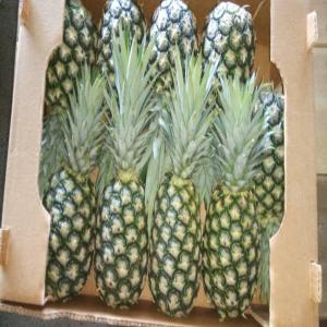 Ananas - fruits et légumes nous pouvons fournir des fruits et légumes venant du bénin vers toutes les pays du monde. plusieurs variétés sont à notre portée notamment les 🍍 🍍🍍🍍 ananas pour plus de détails n'hésitez pas à nous contact