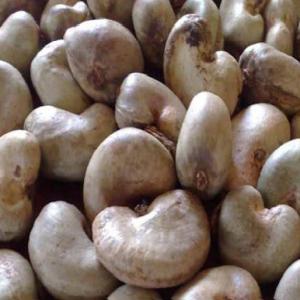 Cashew nuts and soy - vegetable matter very accustomed to providing soybeans and cashews.  i am looking for partners with whom i can have contracts and with the possibility of guaranteeing them transport until the formatting if you are interested please contact us on our whatsapp or email