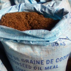 Recherche de tourteaux de graine de coton - semence graine plant nous sommes a la recherche des tourteaux de graine de coton.--contacter nous le plus rapidement possible si vous en avez.----