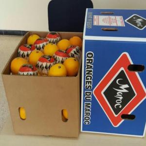 ORANGE DU MAROC  - fruits et légumes nous disposons des oranges de la dernière récolte du maroc en carton de 15 kg ,  prière nous contacter pour toute demande 