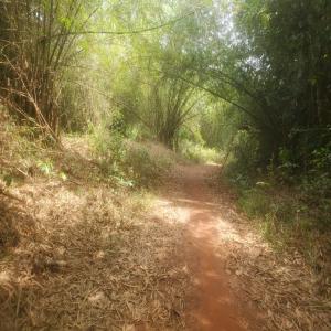 Vente de parcelle  - mine terrain concession localisation régionale* - côte d'ivoire sud comoé-- *ville* - aboisso (capitale régionale du sud comoé)-- *distance d'abidjan* - 119, 5km soit 2 heures en voiture.-- *superficie* - 106ha 15y 90ca-- *document foncier* - titre foncier n° 625 (tf 625)-- immatricul&e