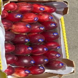 Vente de pêche de meilleure qualité sur le maché - fruits et légumes bonjour,  je suis un fournisseur marocain qui vend en gros de la peche de meilleure qualité que vous pouvez trouvez sur le marché. j'ai été moi-meme qui  passais des nuits et des jours à prendre soin de me peches. elles sont si savoureuse et très bonnes que v