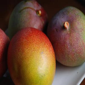 mangue - fruits et légumes bonjour nous commercialisons des mangues du sénégal de la variété kent et ket conditionné dans des caisses mangue télescopique autoassemblé de 6 kg résistant a l'humidité avec un respect strict des normes en vigueur 