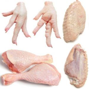 Frozen Chicken Mid Joint Wings, Paws, Drumstick - meat and eggs recherche de fournisseurs de frozen chicken mid joint wings (ailes mi-jointes de poulet surgelées),  frozen chicken paws (pattes de poulet congelées),  frozen chicken feet,  frozen chicken drumstick (pilon de poulet congelé) pour la chine (for china).----1- product--conditions--typ