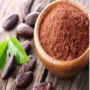 Poudre de cacao - café cacao thé poudre de cacao alkalisé couleur noir et marron 10-12 et 20-22 disponible en stock ----quantité - 250 tonnes --possibilité de fournir 100 tonnes par mois sur un an. ----beurre de cacao aussi disponible !----prendre contact avec notre structure pour de détail et condition 