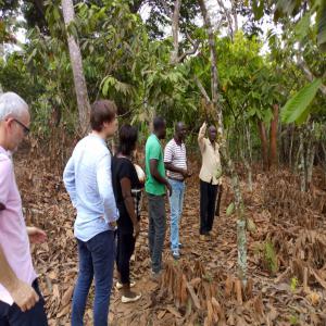 Recherche des partenaires financiers pour cacao  - café cacao thé entreprise située au cameroun plus précisément dans la région du centre à obala peut livrer plus de 2500 tonnes de fèves de cacao de bonne qualité. nous sommes à la recherche d'un allié financier pour exporter notre produit. 