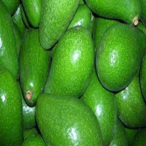 Recherche de clients pour les fruits du Togo - fruits et légumes nous fournissons des fruits - avocat,  bananes,  mangues --l'origine de nos produits-togo.--tout nos produits sont biologiques et nous sommes capables de livrer à quantités voulue 