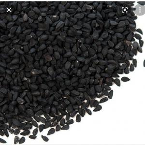 Sac de 25kg de Graine de Nigelle  - semence graine plant graine de nigelle en sac de 25 kg,  au total 8 sac de 25kg de disponible soit 200kg. ----prix - 6€ le kilo soit 150€ le sac de 25kg (possibilité d'envoi)----origine - inde 