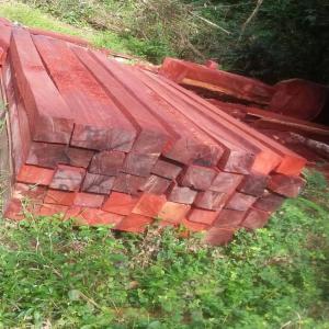 VENTE  BOIS DE ROSE DE GUINÉE ÉQUATORIALE