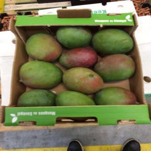 Fruit mango kent - fruits et légumes bonjour chères clients nous disposons de plusieurs tonnage de mango kent calibre de 4 à 12 avec toutes sortes de colloration 