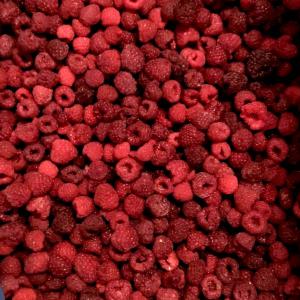 Frozen raspberries. Grade A, B, C, Crumb - fruits and vegetables raspberry (rubus idaeus) harvested in an ecologically clean regions of ukraine,  so it has low radiological characteristics and high mass fraction anticinides (up 0.43% ).----we have frozen raspberries of class a,  b,  c,  crumble available-----class a raspberries (95/5) are intended for the manufacturi