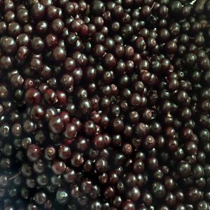 FROZEN WILD ELDERBERRY. CLASS A, B - Ukraine - EspaceAgro