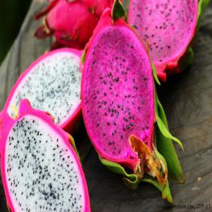 Dragon Fruit - fruits and vegetables dear sir/madam,  (hs 081090)--we would like to offer- dragon fruit. available in varieties- red meat (hylocereus polyrhizus) and white meat (hylocereus undatus). this fruit divided into- small size (300gr-500gr) and big size (500gr-700gr). packing- nett. 10kg in carton box. produce of indonesia. for 