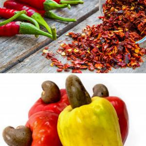 Export : recherche des partenaires,  - autres nos partenaires aurons certainement accès aux besoins. beurre de karité ,  piment rouge,  acajou,  les autres céréales.